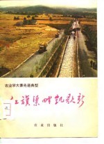 红旗渠畔凯歌新 封面