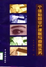 个体私营业户建帐与查帐实务 封面