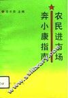 农民进市场奔小康指南 封面