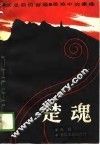 楚魂 封面
