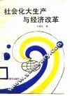 社会化大生产与经济改革 封面