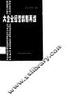 大企业经营机制再造 封面