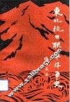 东北抗日联军斗争史 封面