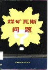 煤矿瓦斯问题 封面