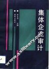 集体企业审计 封面