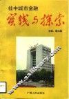 桂中城市金融实践与探索 封面