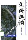 文网血泪  文字之祸 封面