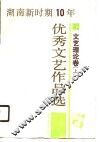 湖南新时期十年优秀文艺作品选  文艺理论卷  上 封面