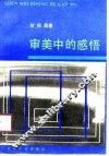 审美中的感悟 封面