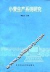 小麦生产系统研究 封面