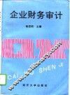企业财务审计 封面