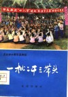 一批二干三带头  屯昌县学大寨、建设大寨县的基本经验验 封面