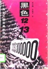 黑色12·13  南京大屠杀最新揭秘 封面