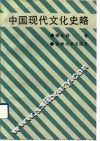 中国现代文化史略 封面