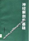 神经解剖学基础 封面