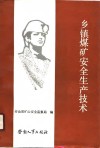 乡镇煤矿安全生产技术 封面