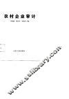 农村企业审计 封面