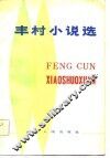 丰村小说选 封面