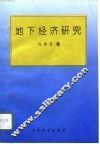 地下经济研究 封面