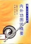 内外功图说精要 封面