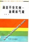 油田开发实例 封面