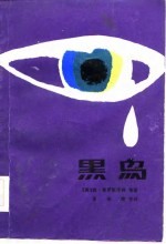 黑鸟 封面