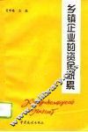 乡镇企业的资金积累 封面