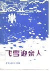 飞雪迎亲人 封面