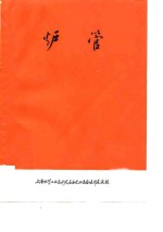 石油裂解炉与制氢转化炉  炉管 封面