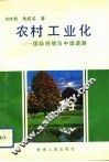 农村工业化  国际经验与中国道路 封面