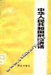 中华人民共和国刑法讲话 封面