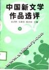 中国新文学作品选评  下 封面