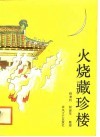 火烧藏珍楼 封面