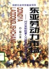 东亚劳动力市场  对开发和配置人力资源特殊经验的分析 封面