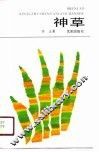 神草 封面
