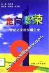 走向繁荣  世纪之交的乡镇企业 封面
