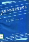 发展中的湖北私营经济 封面