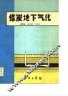 煤炭地下气化 封面