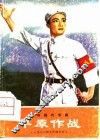 革命现代京剧  平原作战 封面