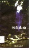 长白山魂 封面