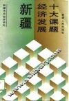 新疆经济发展十大课题 封面
