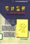 审计案例  国际审计诉讼案例 封面