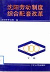 沈阳劳动制度综合配套改革  下 封面