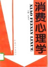 消费心理学 封面