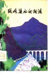跃峰渠水向阳流 封面