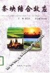 条块结合效应  新疆巴音郭楞蒙古自治州开放性融合型经济理论与实践 封面