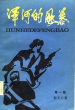 浑河的风暴  第1部 封面