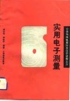 实用电子测量 封面
