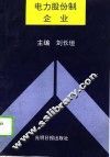 电力股份制企业 封面
