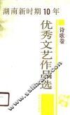湖南新时期10年优秀文艺作品选  诗歌卷 封面